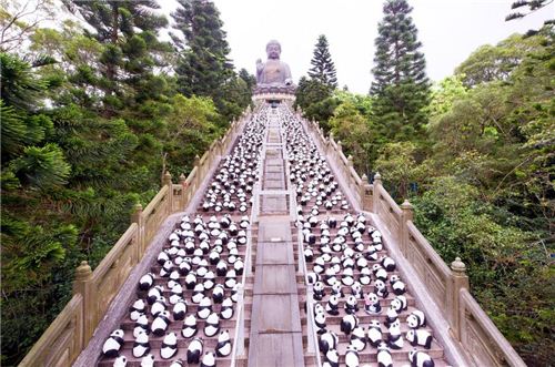 1600 Pandas at the Tian Tan Buddha