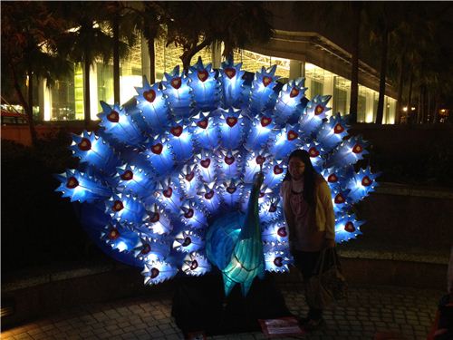 Everybody wants to take a picture with the lanterns
