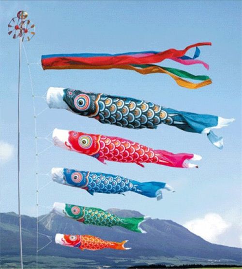 On May 5th colorful carps representing strength and good health take to the skies