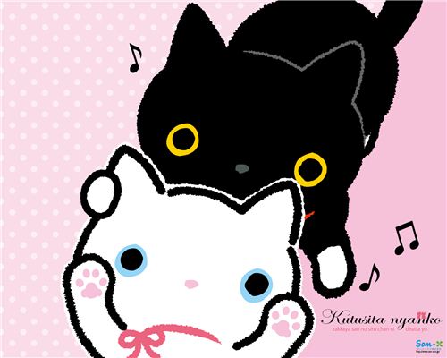 Kutusita Nyanko wallpaper with black and white cat