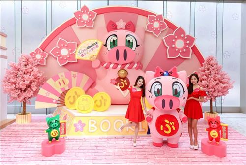 Gearing up for the Year of the Pig!