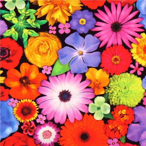 Bloominescent colorful flowers Poplin fabric Robert Kaufman