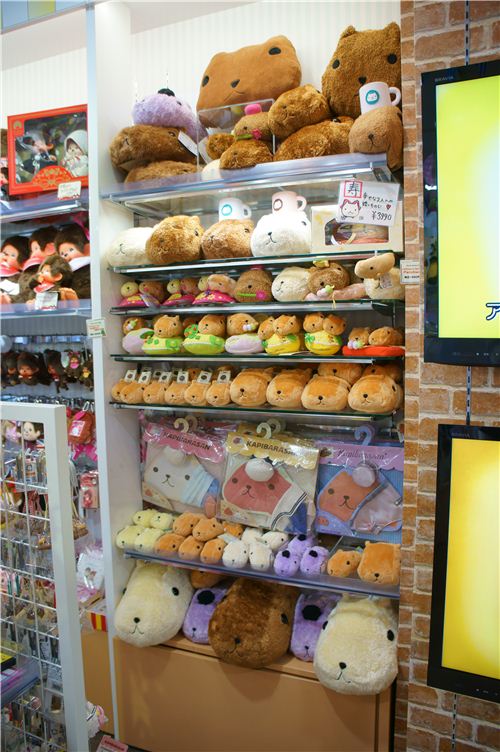 Lots of items from the cute Kapibarasan guinea pig