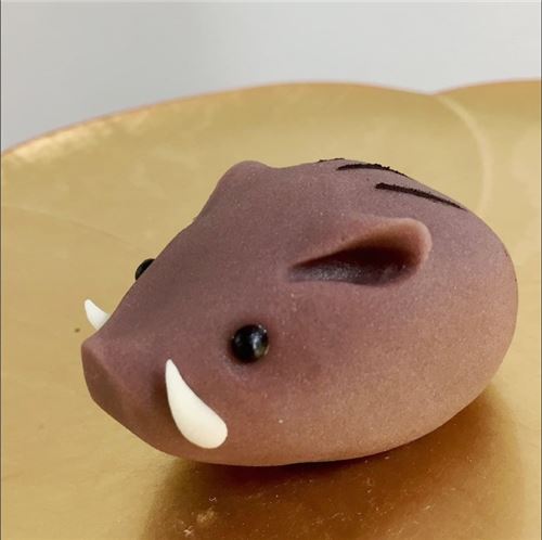 An adorable little boar! This image and those directly above are courtesy of Pinterest.