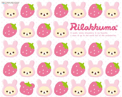 Cute Korilakkuma with strawberries wallapers